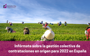 Infórmate sobre la gestión colectiva de contrataciones en origen para 2022 en España