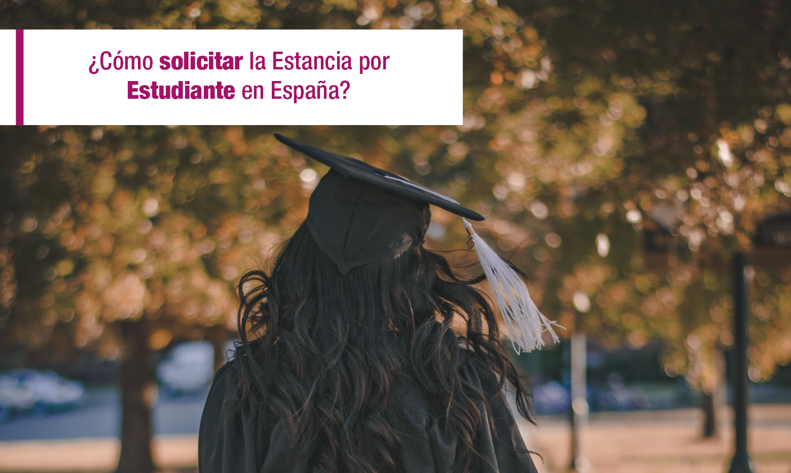 Estancia de Estudiante, ¿Cómo solicitar la estancia de estudiante en España?, Abogacía Española, abogada, abogada de extranjeria, Abogada de Inmigración, ABOGADA JOVEN, Abogado s, Abogados, Acta de Manifestaciones, arraigo, Arraigo Familiar, Arraigo Laboral, ARRAIGO SOCIAL, Consulado Móvil, consulta gratis, Consulta Gratis Online, Consulta Online Gratis, DELE, Entrada a España, entrada en españa, entrevista, espacio SCHENGEN, Estado actual de los expedientes de solicitud de nacionalidad española, Estado de expedientes, Estado de los Expedientes de Extranjería en Madrid (Abril 2019), Estado de los Expedientes de Extranjería en Madrid (Marzo 2019), Estados de los expedientes de nacionalidad española por residencia 2015-2016-2017-2018, Estancia, Estancia de Estudiante, Estancia por estudios, Estoy cursando el MIR, Estudiante, estudiantes, estudiantes en españa, Estudios, EXAMEN, Examen CCSE, examen de nacionalidad, Examen DELE, exámenes de nacionalidad, Fases de Nacionalidad Española presentada de manera telemática, INMIGRACIÓN, Inmigración Emigración, Inmigración Irregular., INMIGRANTES, inmigrantes irregulares, Machelín Díaz abogada, MANIFESTACIÓN, MARRUECOS, NACIONALDIAD, Nacionaldidad Española, nacionalidad, nacionalidad 2019, Nacionalidad Española, Nacionalidad Española por Residencia, nacionalidad por matrimonio, Nacionalidad por residencia, Nacionalidad por residencia Asilo, Nacionalidad por valor de simple presunción, obtener nacionalidad española, Oficinas de Información y Orientación para la Integración de la Población Inmigrante, PLAN INTENSIVO DE NACIONALIDAD, protección internacional, REAGRUPACIÓN, Reagrupación familiar, reconocimiento de estudios, recurso contencioso, recurso de reposición, refugiados, REFUGIO, Regimen Comunitario, Regimen General, registro, REGISTRO CIVIL, Registro pareja de hecho, Renovación, renovaciones y prorrogas de Estudios, República de Colombia, República Dominicana, requisitos de entrada a españa, Requisitos Para Visado De Reagrupación Familiar En Régimen Comunitario En Consulado General De España En Quito Ecuador, Requisitos para Visado De Reagrupación Familiar En Régimen Comunitario en Santa Cruz De La Sierra (Bolivia), Requsitos, Residencia, Residencia Comunitaria, Residencia de larga duración, residencia humanitaria, Residencia Larga duración UE, Residencia No Lucrativa, Residencia para búsqueda de empleo, residencia para busqueda de empleo en españa, Residencia para Búsqueda de Empleo en España. Preguntas y respuestas 2019, residencia reino unido, Residencia y Trabajo, RESIDIR, Residir y Trabajar, Resolución, Retorno voluntario, se pone al día con los Arraigos y se retrasa con los estudiantes., Situación Nacional de Empleo, Suspendí el examen DELE, Tarjeta Comunitaria, Tarjeta Comunitaria para venezolanos, tarjeta comunitaria permanente, Tarjeta de Familiar Comunitario, Tarjeta de Indentidad de Extranjero, Tarjeta de laraga duración, Tarjeta de Larga Duración, Tarjeta de Larga Duración UE, Tarjeta de Residencia, Tarjeta de residencia de familiar, tarjeta sanitaria, Tarjetas de Residencia, TIE, Tiempos, VISA, Visado, Visados