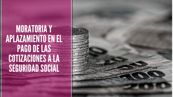 Abogacía Española, abogada, abogada de extranjeria, Abogada de Inmigración, ABOGADA JOVEN, Abogado s, Abogados, Acta de Manifestaciones, arraigo, Arraigo Familiar, Arraigo Laboral, ARRAIGO SOCIAL, carnés de conducir, Consulado Móvil, consulta gratis, Consulta Gratis Online, Consulta Online Gratis, coronavirus, Coronavirus 19, Coronavirus: el racismo que la pandemia deja al descubierto, Covid_19, Covid19, Crisis del coronavirus: atención en la oficina de ACNUR en España, DELE, El Ministerio prorroga durante 60 días la vigencia de los carnés de conducir que caduquen durante el estado de alarma., Eliminación de visado Schengen para ecuatorianos (Novedades año 2020), Entrada a España, entrada en españa, entrevista, ERTE, ERTE BASADO EN FUERZA MAYOR TEMPORAL, espacio SCHENGEN, Estado actual de los expedientes de solicitud de nacionalidad española, estado de alarma, estado de emergencia, Estado de expedientes, Estado de los Expedientes de Extranjería en Madrid (Abril 2019), Estado de los Expedientes de Extranjería