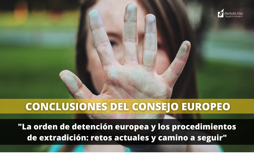 consejo europeo, extradición y detenciones, expertos en extranjeria, blog de extranjeria, máchelin díaz