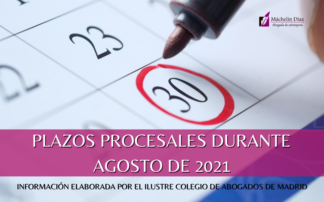 plazos procesales