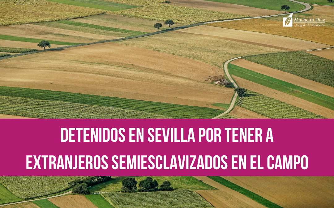 Detenidos en Sevilla por tener a extranjeros semiesclavizados en el campo