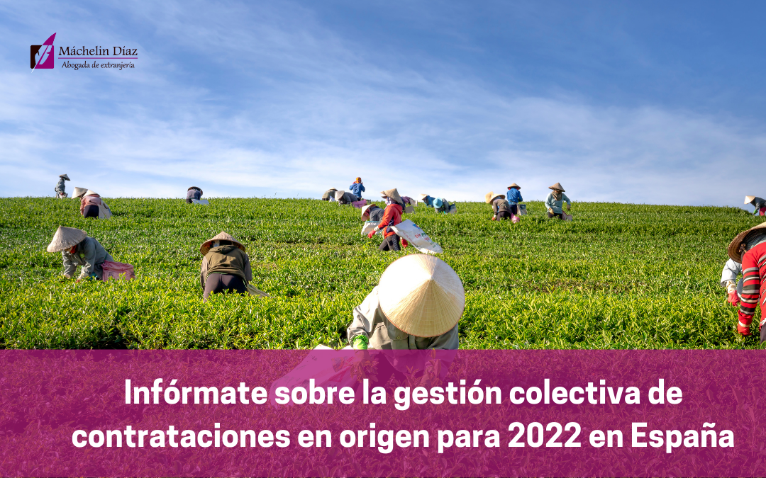 Infórmate sobre la gestión colectiva de contrataciones en origen para 2022 en España