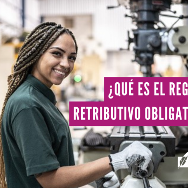 registro retributivo obligatorio, máchelin díaz, blog de extranjería
