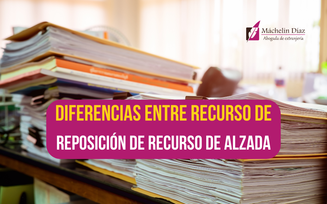 recurso de reposición, recurso de alzada, máchelin díaz, blog de extranjería